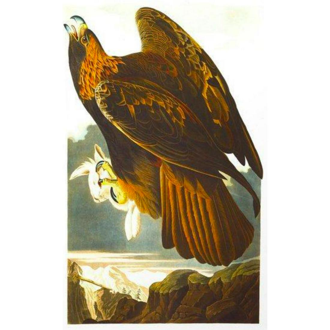c1946 Audubon Print, #181 Golden Eagle (1 of 2)