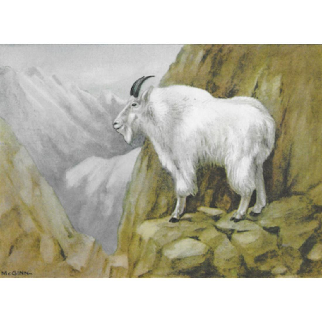 1920's Mountain Goat Color Lithograph Print: Mountain Goat, color lithograph from a 1926 edition of The Nature Library, Animals by Ernest Thompson Seton, arranged by Robert M McCurdy for Doubleday, Doran & Company. Original artwork by McGinn. 5"