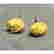 item-119481437=2