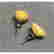 item-119481437=3