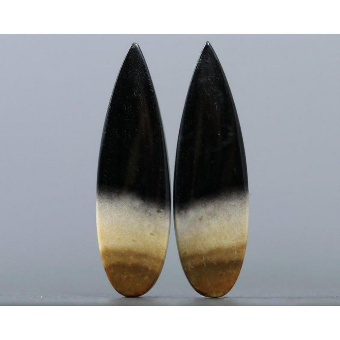 Prehistoric Fossilized Palm Root, Matched Cabochon Pair (1 of 2)