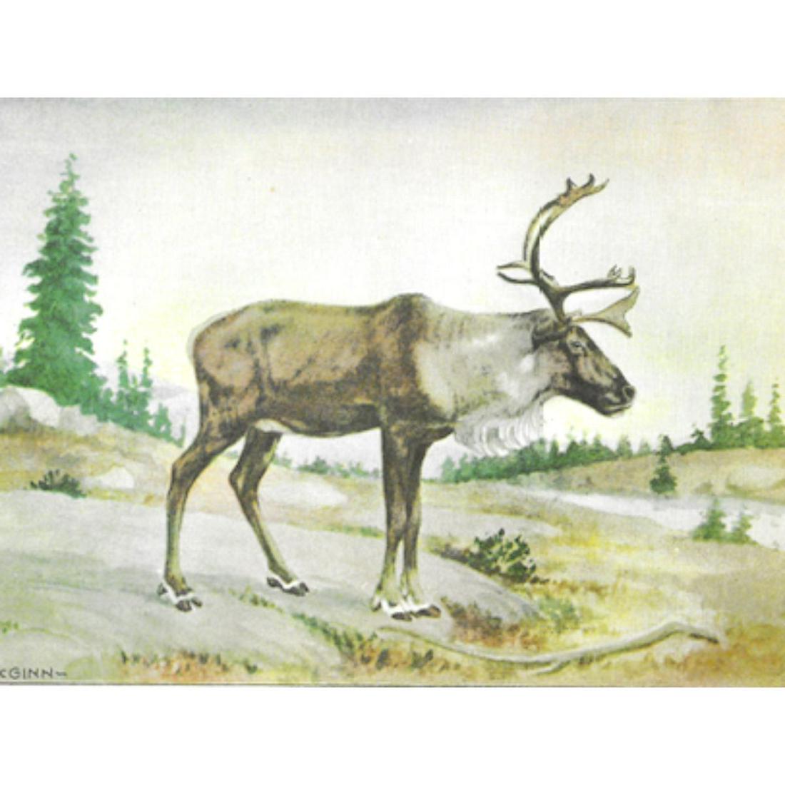 1920's Caribou Color Lithograph Print (1 of 2)