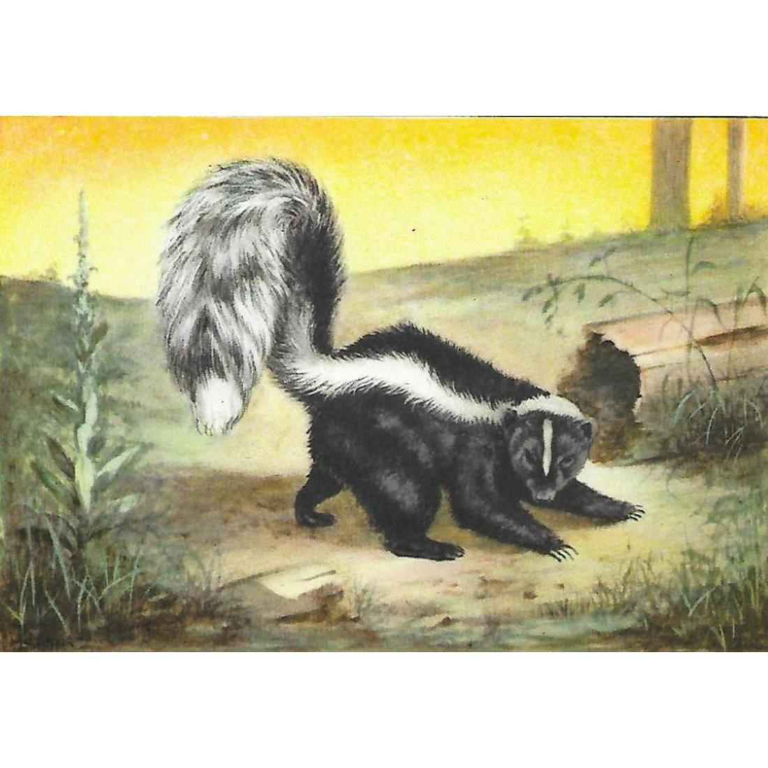 1920's Skunk Color Lithograph Print (1 of 2)