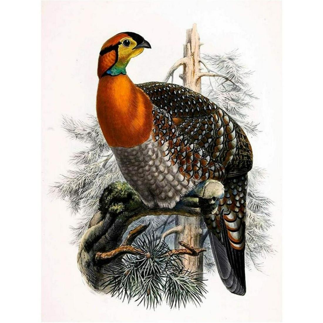 Pheasant Bird Ceramic Art Tile: Pheasant Bird, D. Elliot, glossy ceramic focal art tile. 6" x 8".