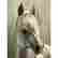 item-131322010=2