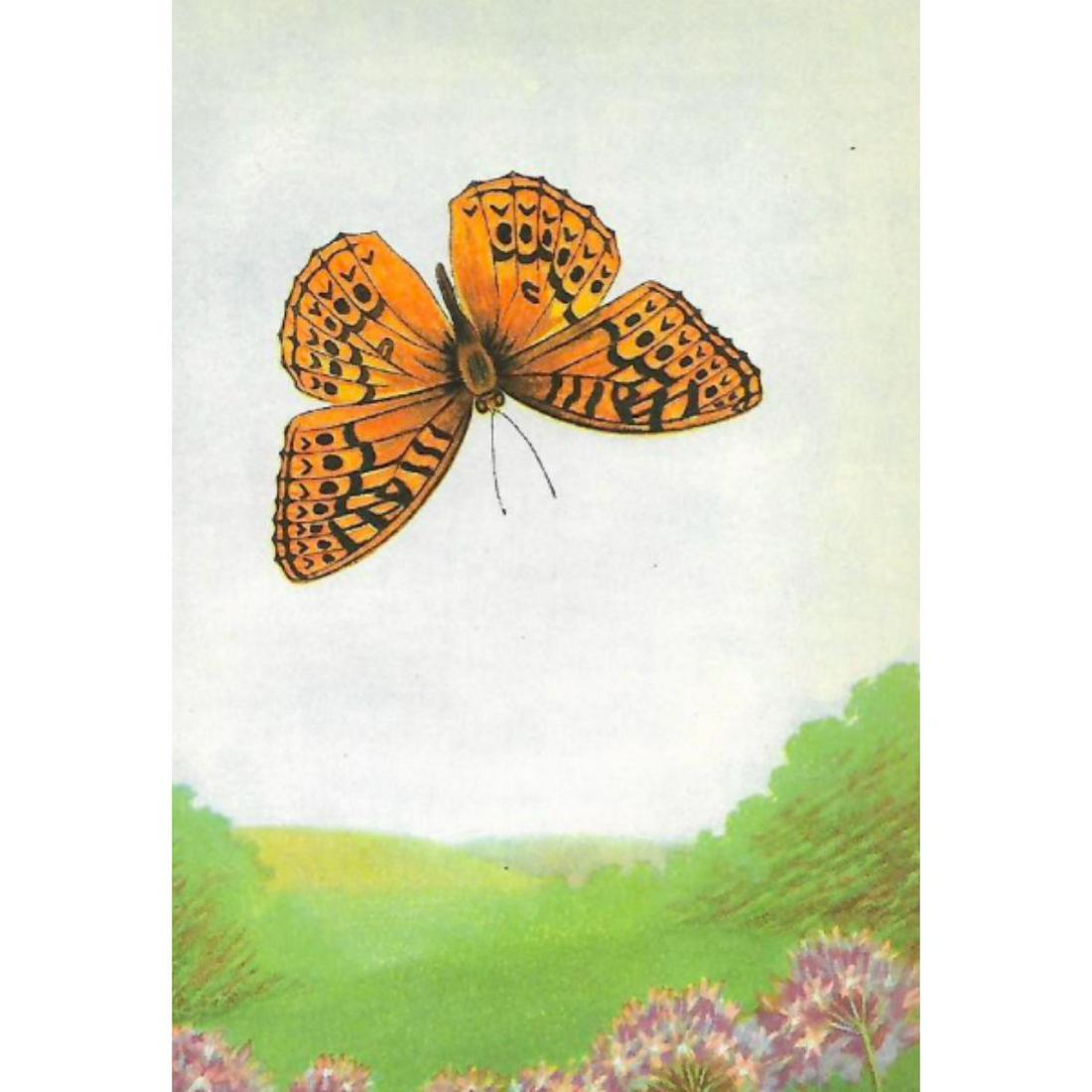 1920's Great Spangled Fritillary Butterfly Print: Great Spangled Fritillary butterfly color lithograph print, from a 1926 edition of The Nature Library, Animals by Clarence M. Weed. 5" X 8".