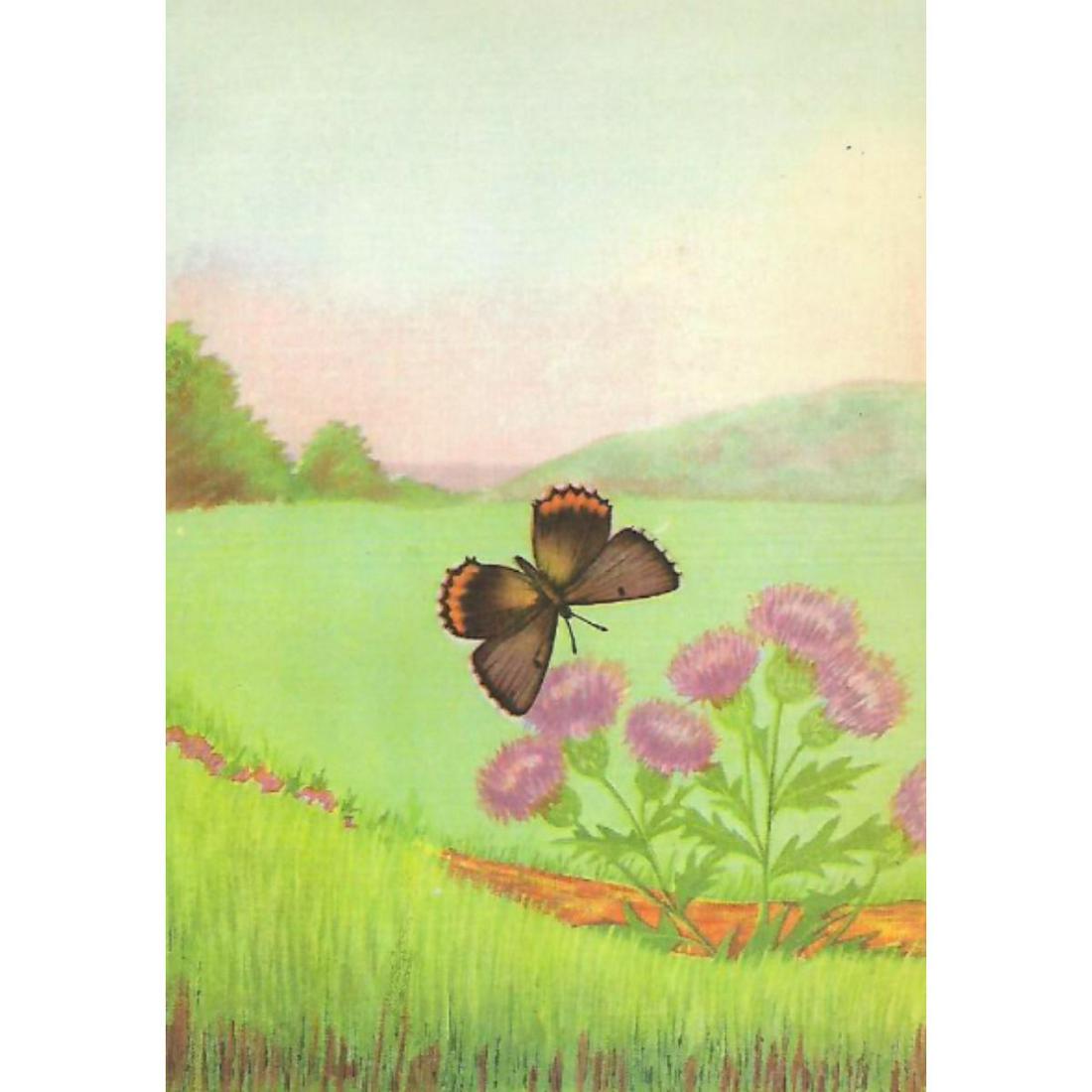 1920's Bronze Copper Butterfly Color Lithograph Print: Bronze Copper butterfly color lithograph print, from a 1926 edition of The Nature Library, Animals by Clarence M. Weed. 5" X 8".