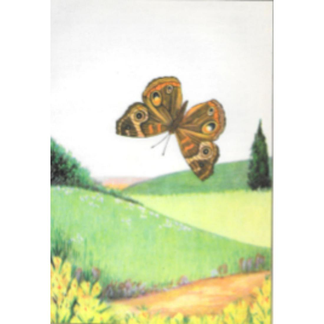 1920's Buckeye Butterfly Color Lithograph Print: Buckeye Butterfly color lithograph print, from a 1926 edition of The Nature Library, Butterflies by Clarence M. Weed. 5" X 8" bookplate.