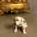 item-131322452=2