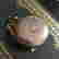 item-131982421=3