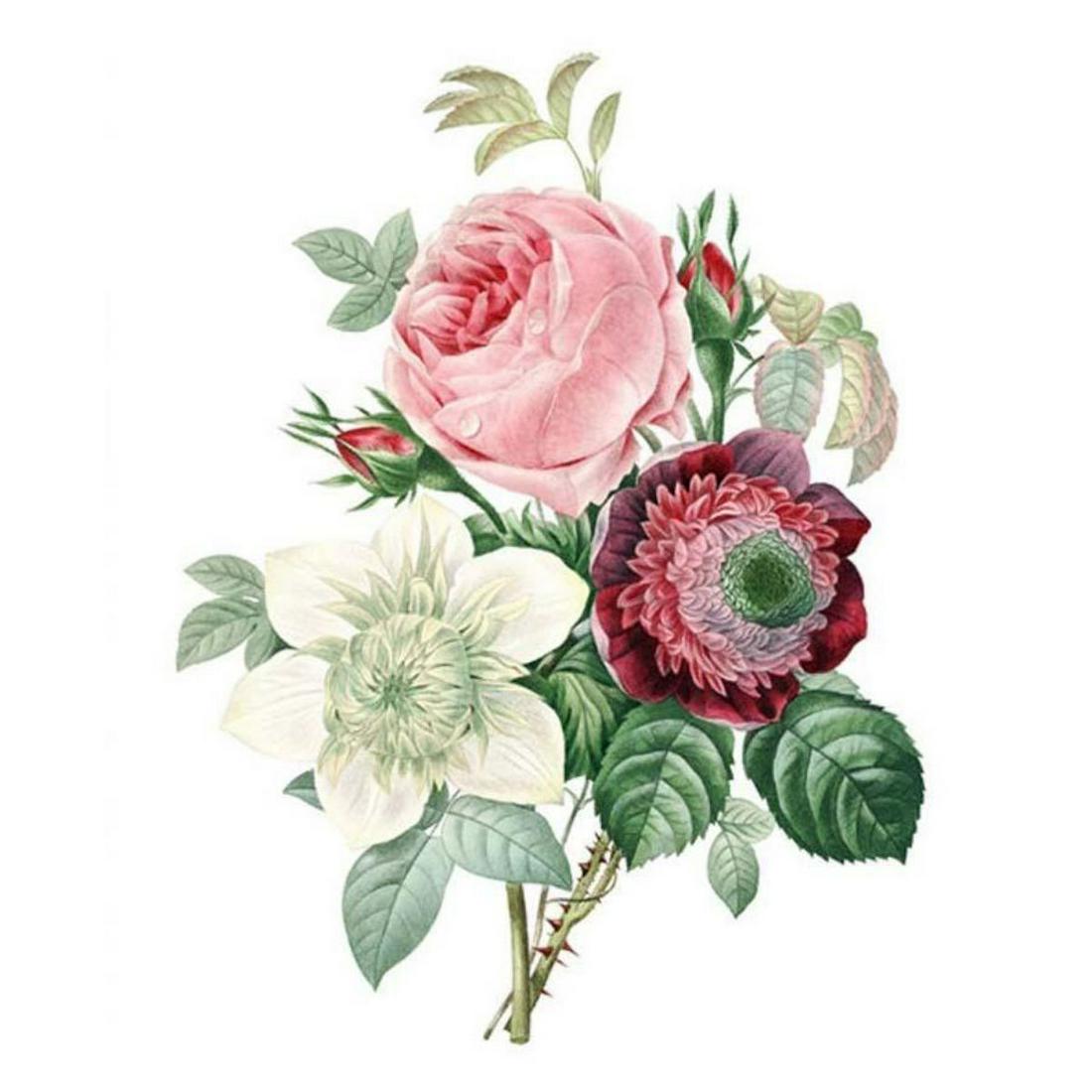 After Pierre-Jospeh Redoute, Floral Print, #125 Rose, Anemone, Clematite (1 of 1)