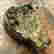 item-135752280=6