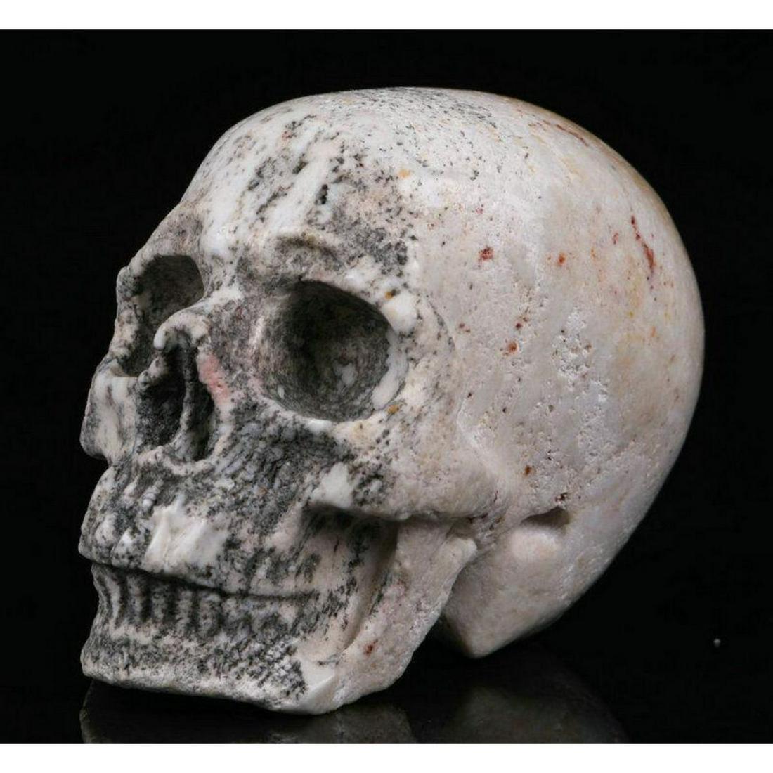 Carved Fossil Coral Skull (1 of 7)