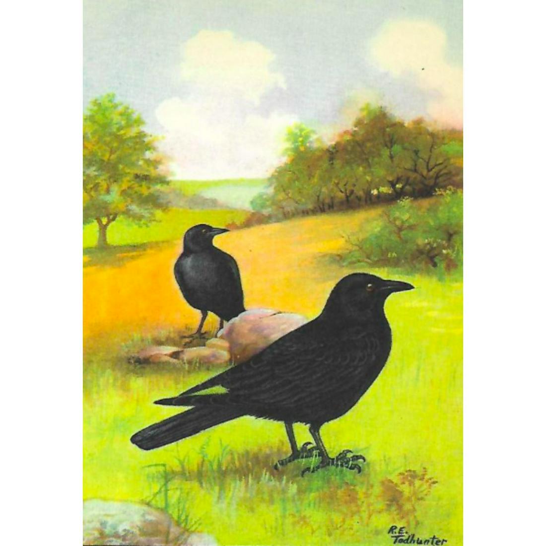 1920's Crow Color Lithograph Print (1 of 2)