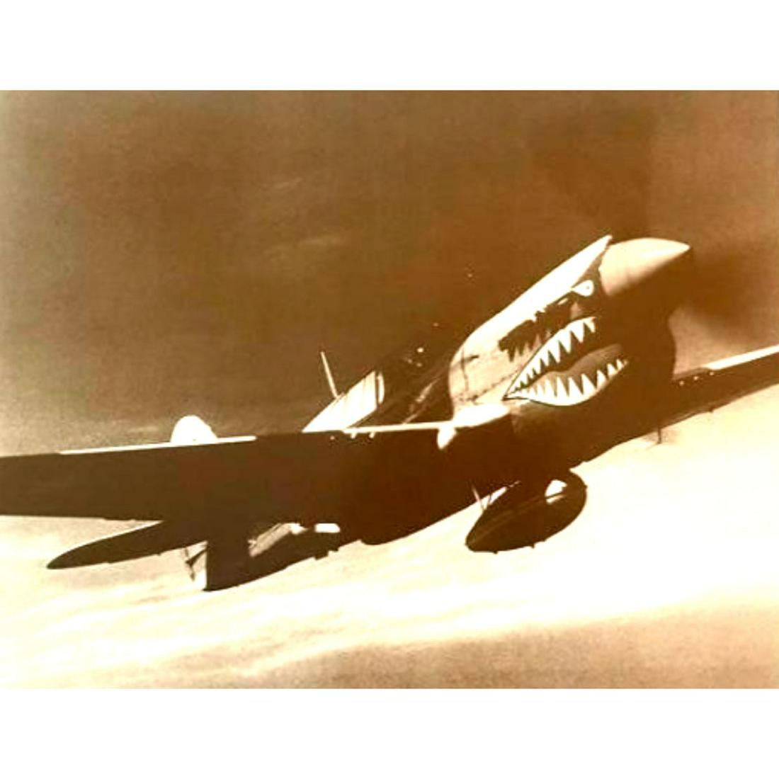 World War II Tiger Shark Photo Print (1 of 2)