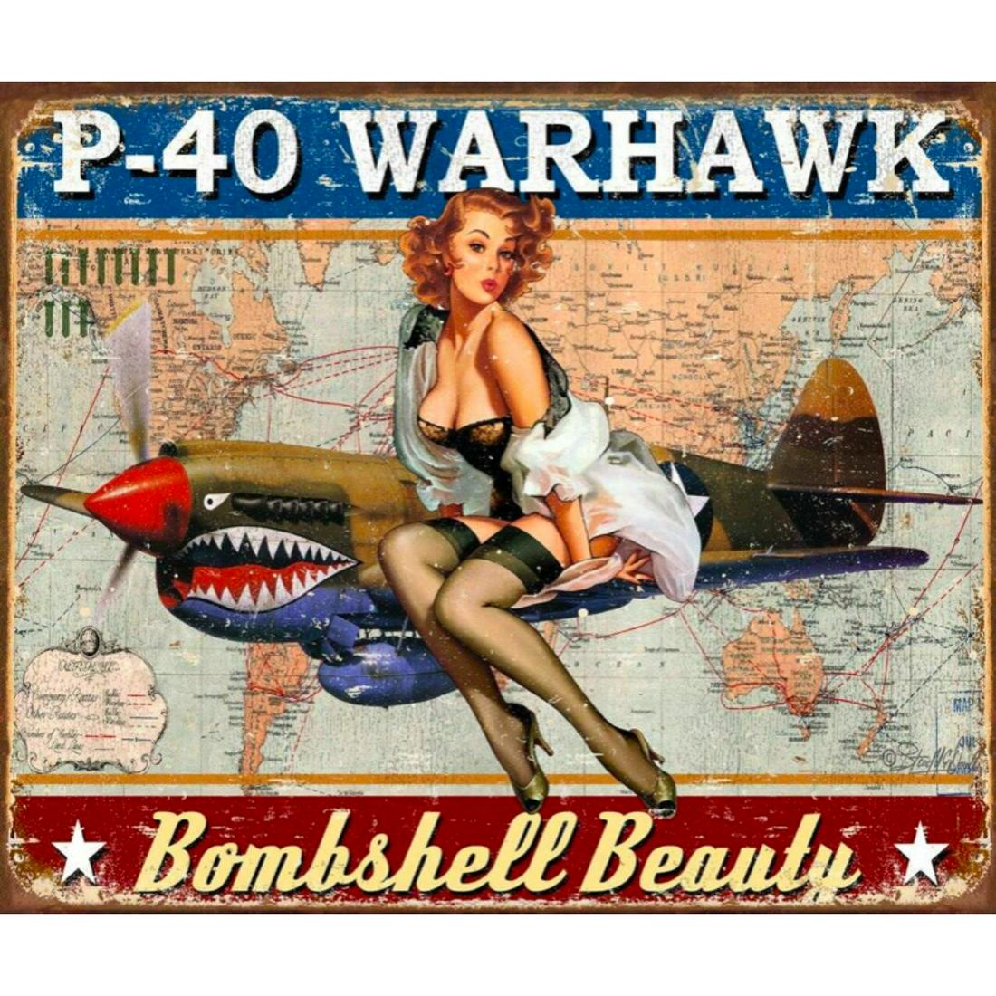 P-40 Warhawk Metal Pub Bar Sign (1 of 1)