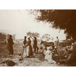 African American History, Civil War Plantation Slaves: African American History, sepia-tone photo print of Slaves at work on Pope's Plantation near Hilton Head, South Carolina, Civil War era, c. 1861. 11" X 14" on heavy cardstock. Created in the early 199