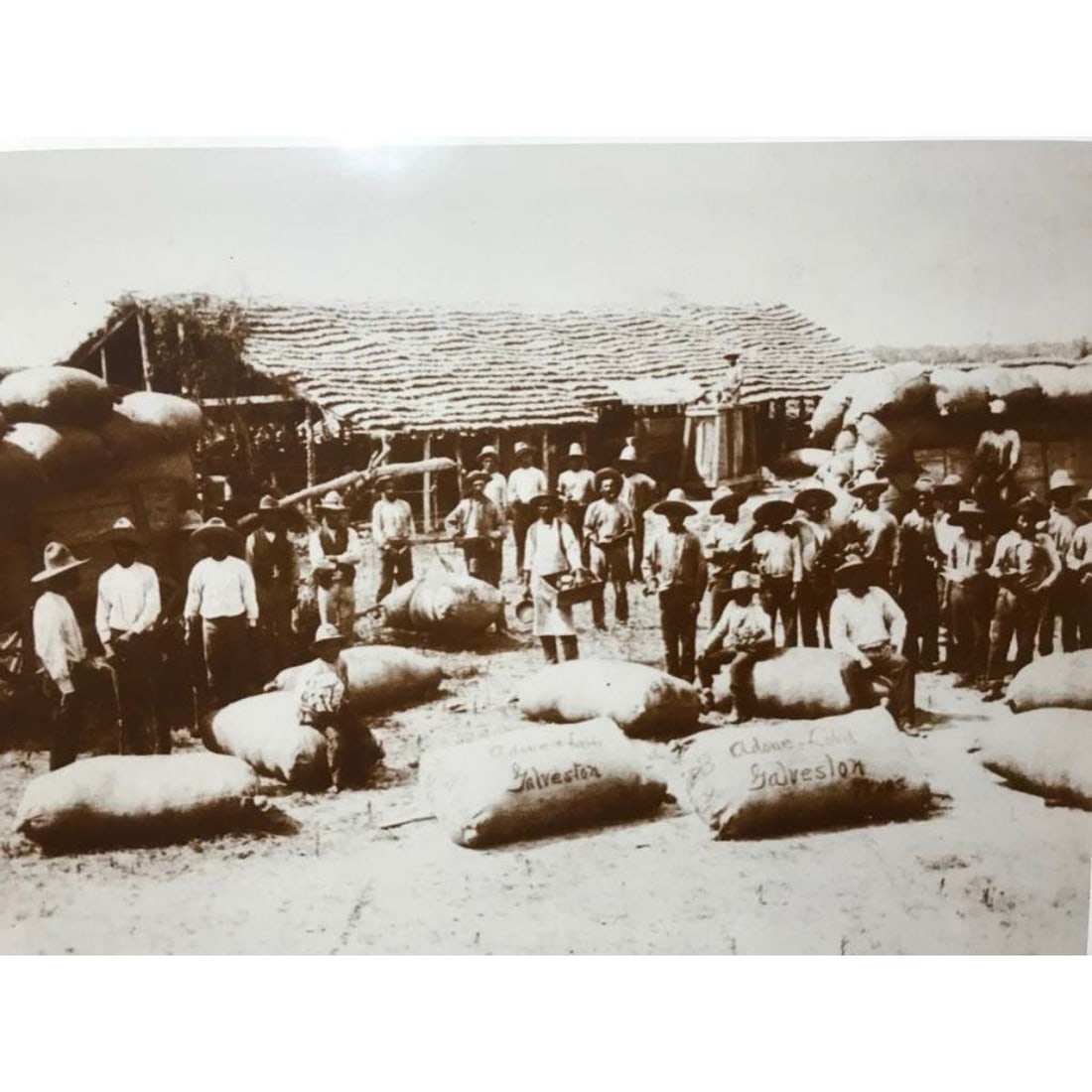 19thc Galveston Texas Sepia Photo Print (1 of 2)