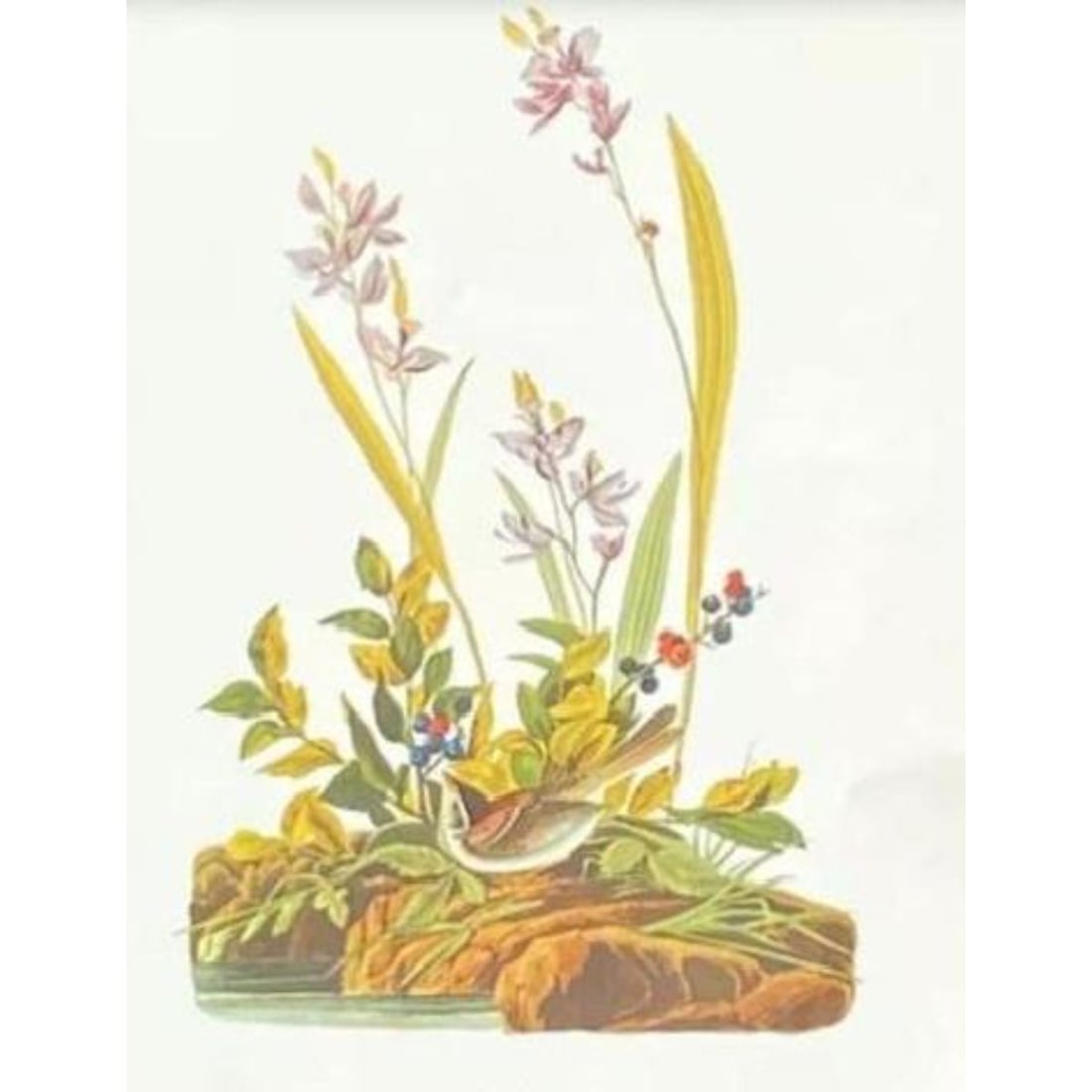 c1946 Audubon Print, #139 Field Sparrow (1 of 2)