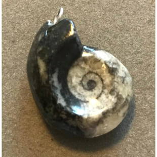 Prehistoric Ammonite Fossil Pendant: Prehistoric fossil, polished ammonite, with attached loop for a pendant. 1" X 1 1/4". Ammonites are extinct cephalopods forms related to the modern pearly nautilus & frequently found as fossils in