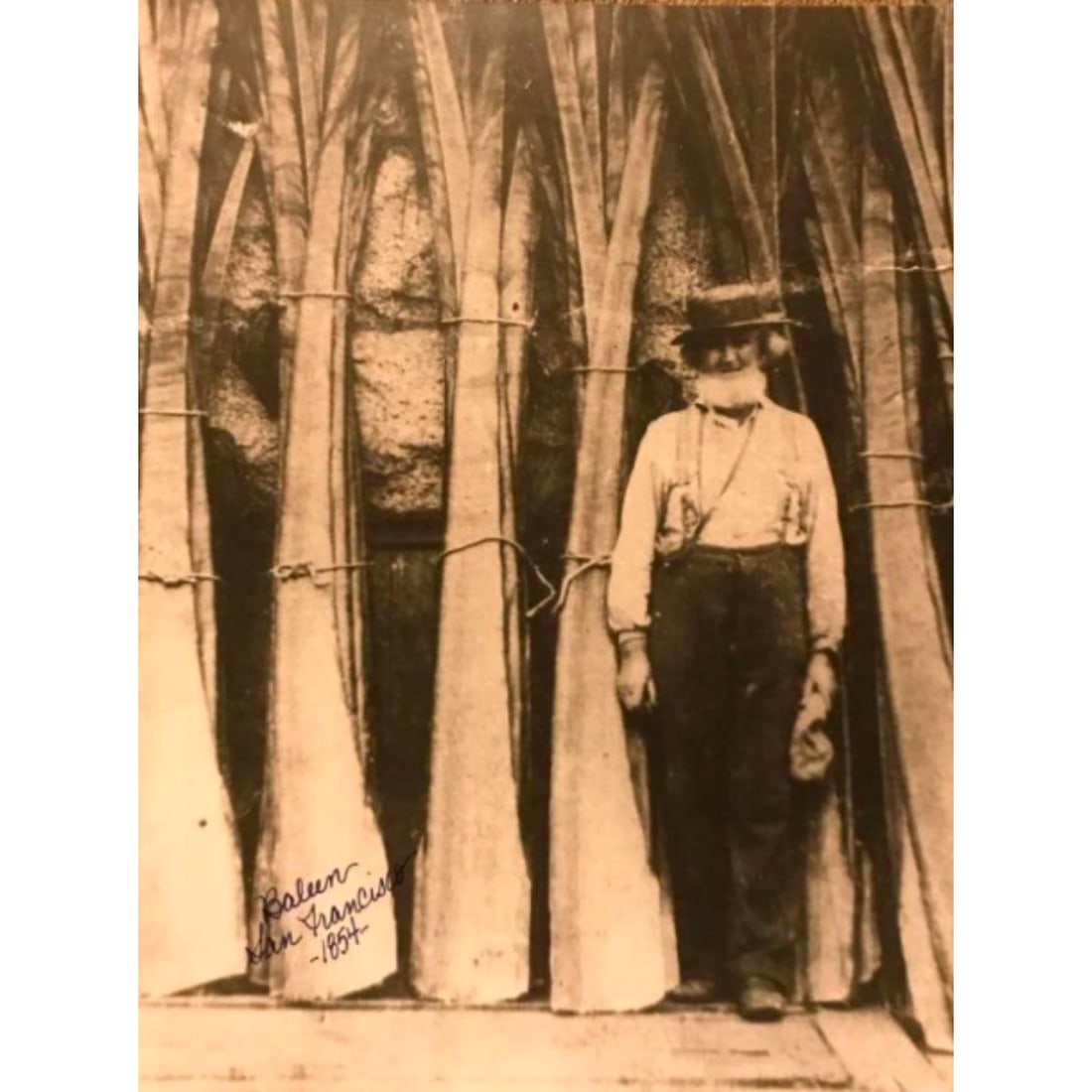 19thc Scene, San Francisco, CA Whaling Photo Print: Vintage photo print of a scene from 19th Century San Francisco, California - Baleen, San Francisco, CA - 1854. The scene showing a whaling fisherman standing in front of baleen or whalebone artifacts.