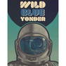 Wild Blue Yonder Metal Pub Bar Sign