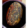 12.605ct Queensland Boulder Opal