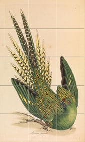 James Sowerby Parrot Ceramic Art Tile Mural