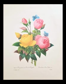 After Pierre-Jospeh Redoute, Floral Print, #127 Rose jaune et de Rose du Bengale (Rose)