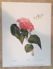 Limited Edition Print, Begonia and a Cabbage White Butterfly