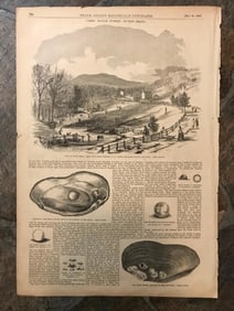 19thc Engravings, Pearl Muscle Fishing, New Jersey