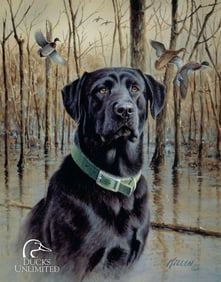 Ducks Unlimited Hunting Dog Pub Bar Sign