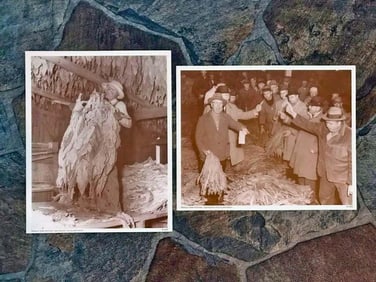 Rural Tobacco Farming Scenes, Photo Prints