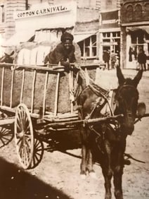 African American History, Cotton Cart Photo Print