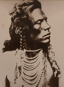 Native American History, Curly, Custer Scout Photo Print