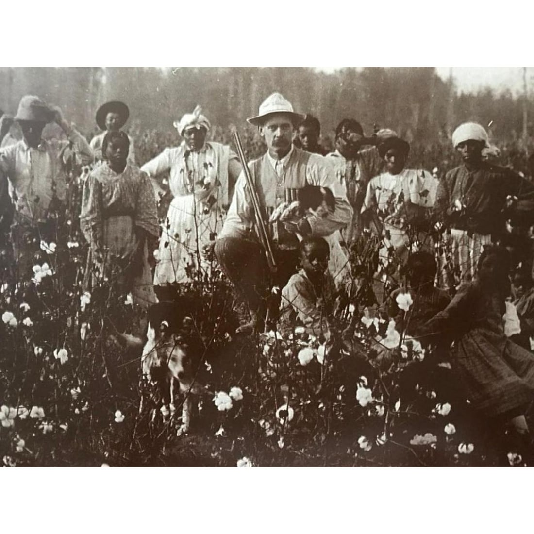 African American HIstory, Mississippi Cotton Pickers Photo Print: "The Cotton Planter and His Pickers", West Point, Mississippi, 1908 sepia-tone photo print. Created in the early 1990s after an original postcard showing a Euro-American man holding a shotgun, with hi