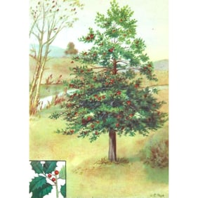 1920s American Holly Color Lithograph Print