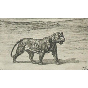 Early 1900s Half-tone Print, #1002 Tiger