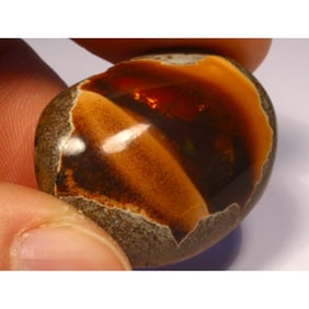 43.7ct Ethiopian Shewa Chocolate Opal Gemstone
