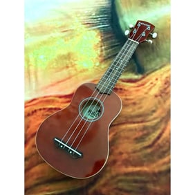 Hola Ukulele Musical Instrument