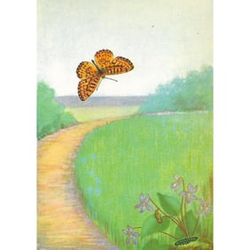 1920's Silver-Bordered Fritillary Butterfly Color Lithograph Print