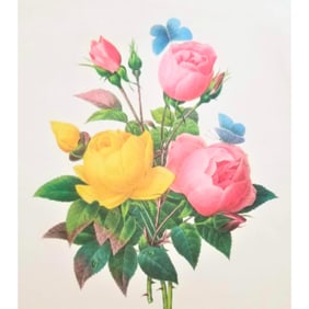 After Pierre-Jospeh Redoute, Floral Print, #127 Rose