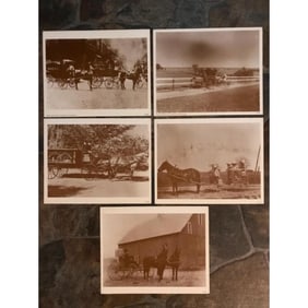 Group of Horse and Buggy, Wagon Photo Prints