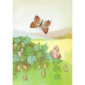 1920's Gray Hair-Streak ( Comstock ) Butterfly Color Lithograph Print