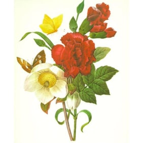 After Pierre-Jospeh Redoute, Floral Print, #35 Clove, Carnation, Christmase Rose