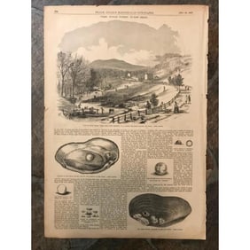 19thc Engravings, Pearl Muscle Fishing, New Jersey