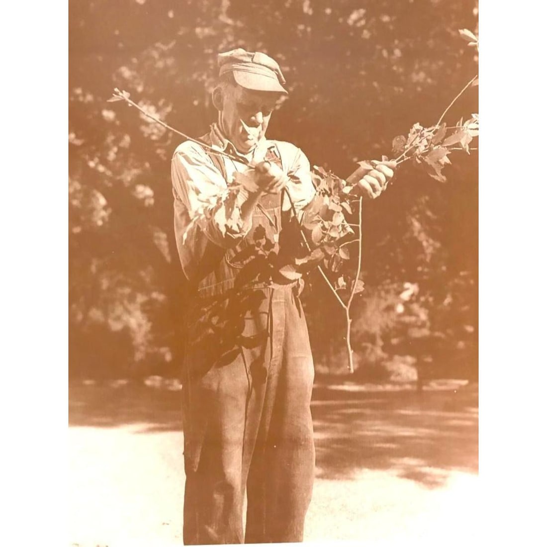 Early 1900's Dowsing, Divining Rod Photo Print (1 of 2)