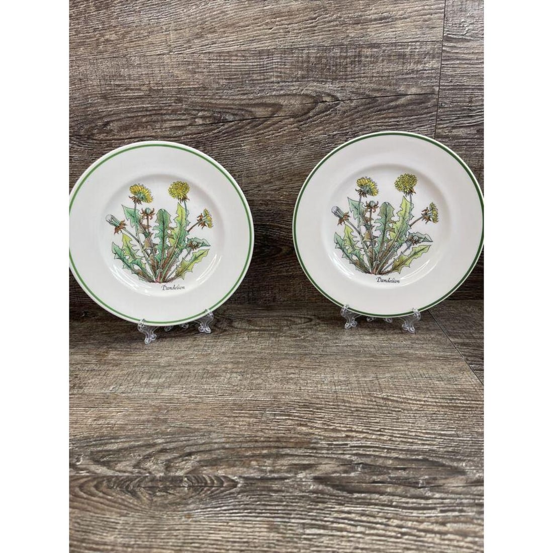 Tiffany Co. Johnson Bros Dandelion Salad Plates (1 of 7)