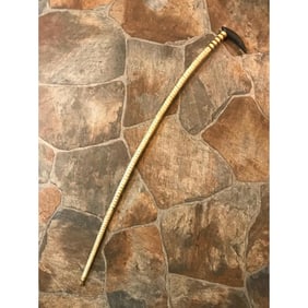 Rare 19thc Shark Vertebrae Horn Walking Stick Cane