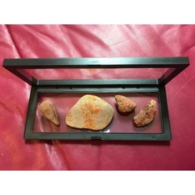 Set of Prehistoric Dinosaur Gembone Specimens
